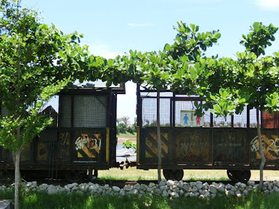 Artsy train on the way to salt field in Xincuozai
