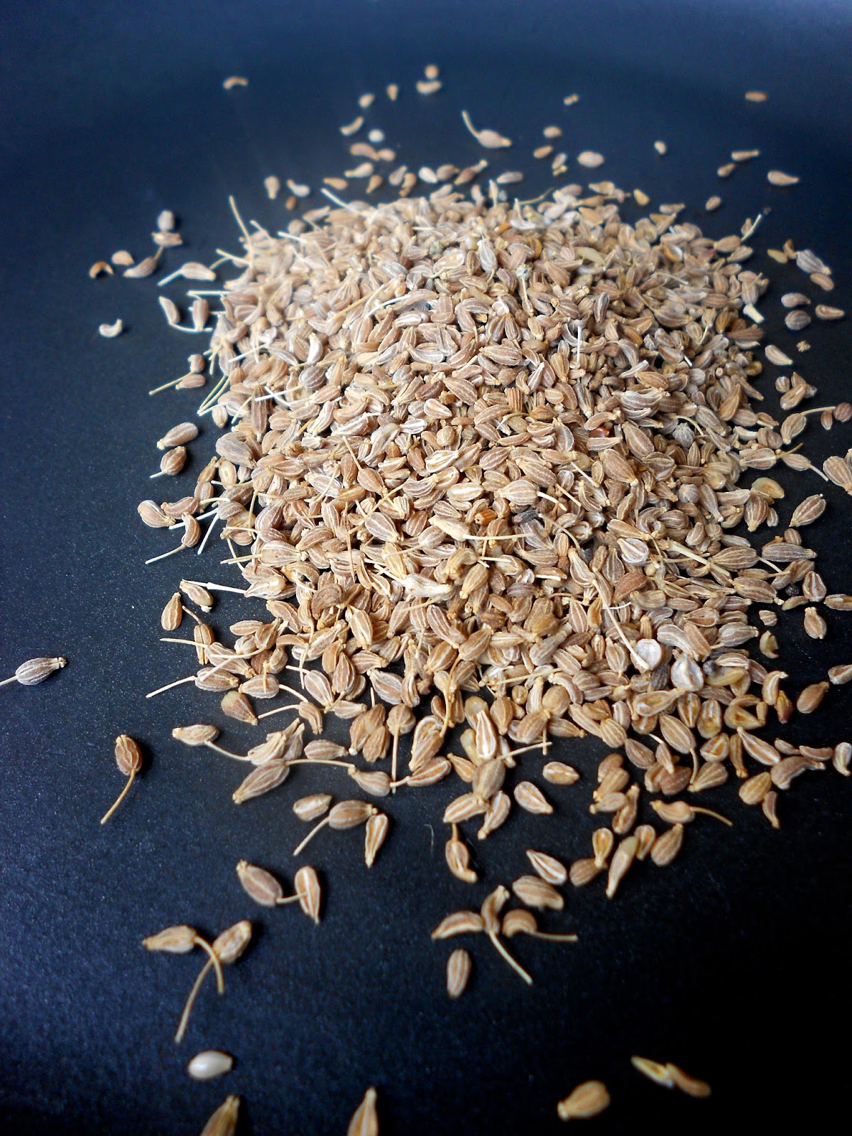 Savouring Stella Orange Anise Muffins