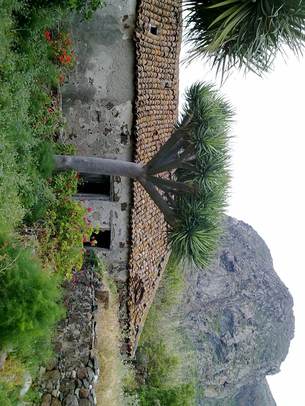 CURIOSEANDO POR TENERIFE Caserío Las Palmas