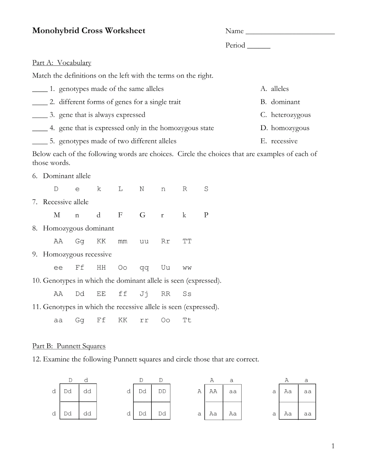 monohybrid cross worksheet For Monohybrid Cross Worksheet Answers