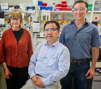 美國化學協會年會介紹華人科學家三手煙研究最新發現