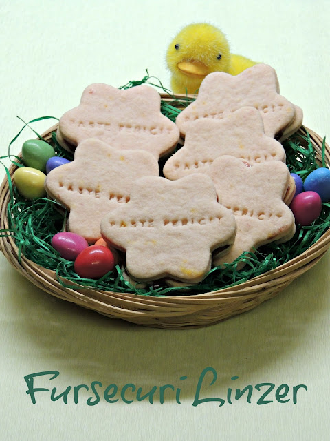 FURSECURI LINZER PENTRU PASTI