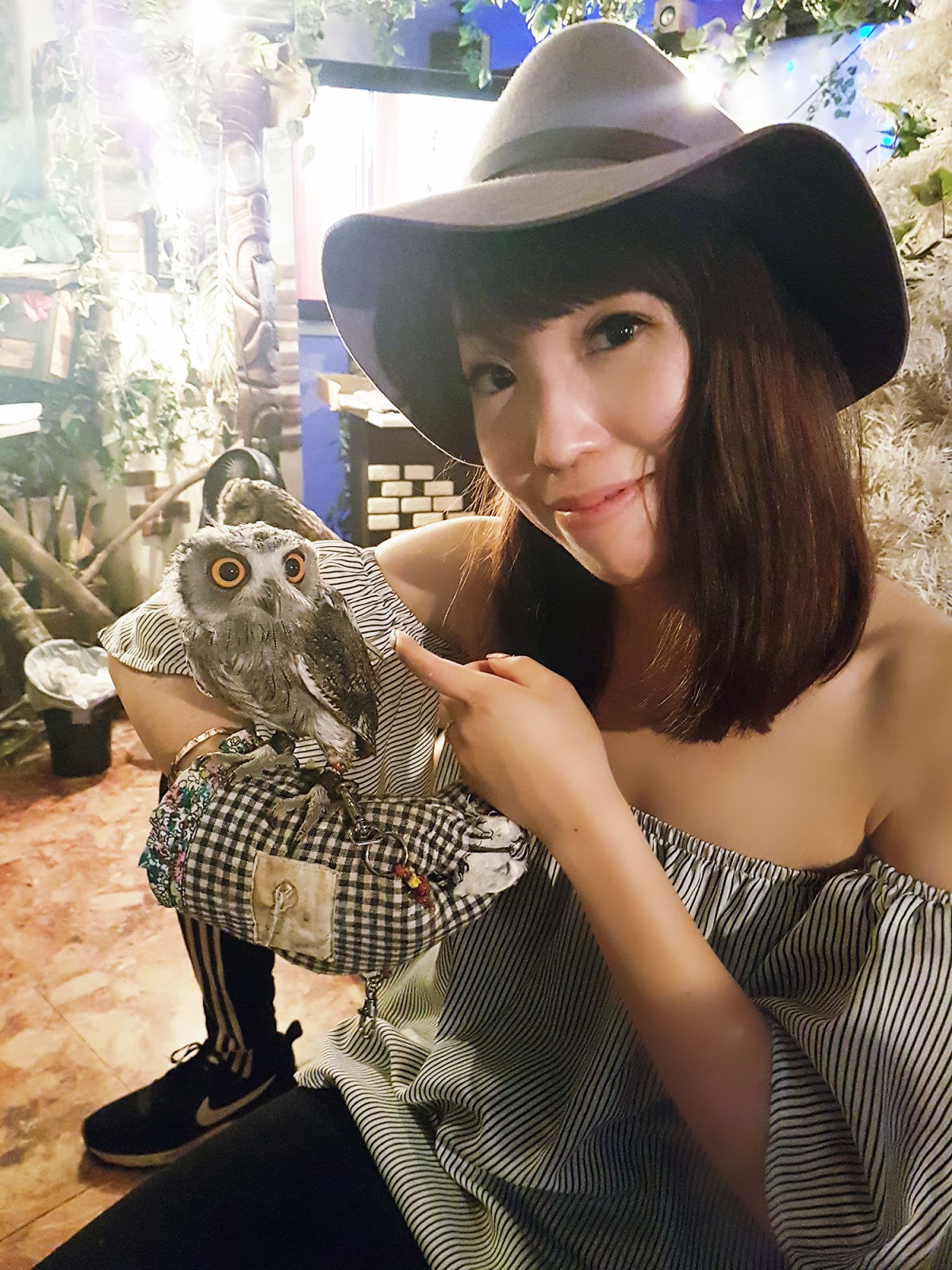 Owl Cafe {Japan Travel} - What it is like to become friends with owls - Every Little Thing
