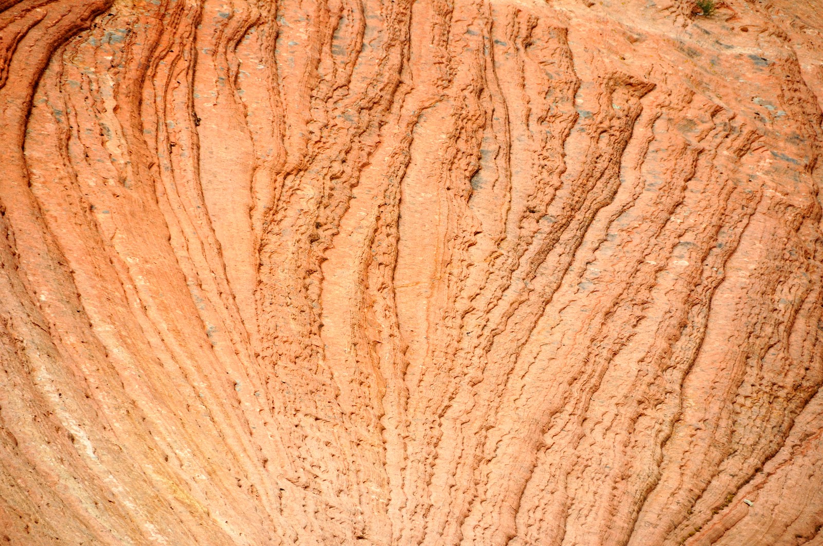 Shower Wisdom Zion National Park