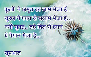 New Hindi Good Morning Shayari