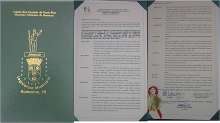 Proclamas  y  Resoluciones  2008-2011