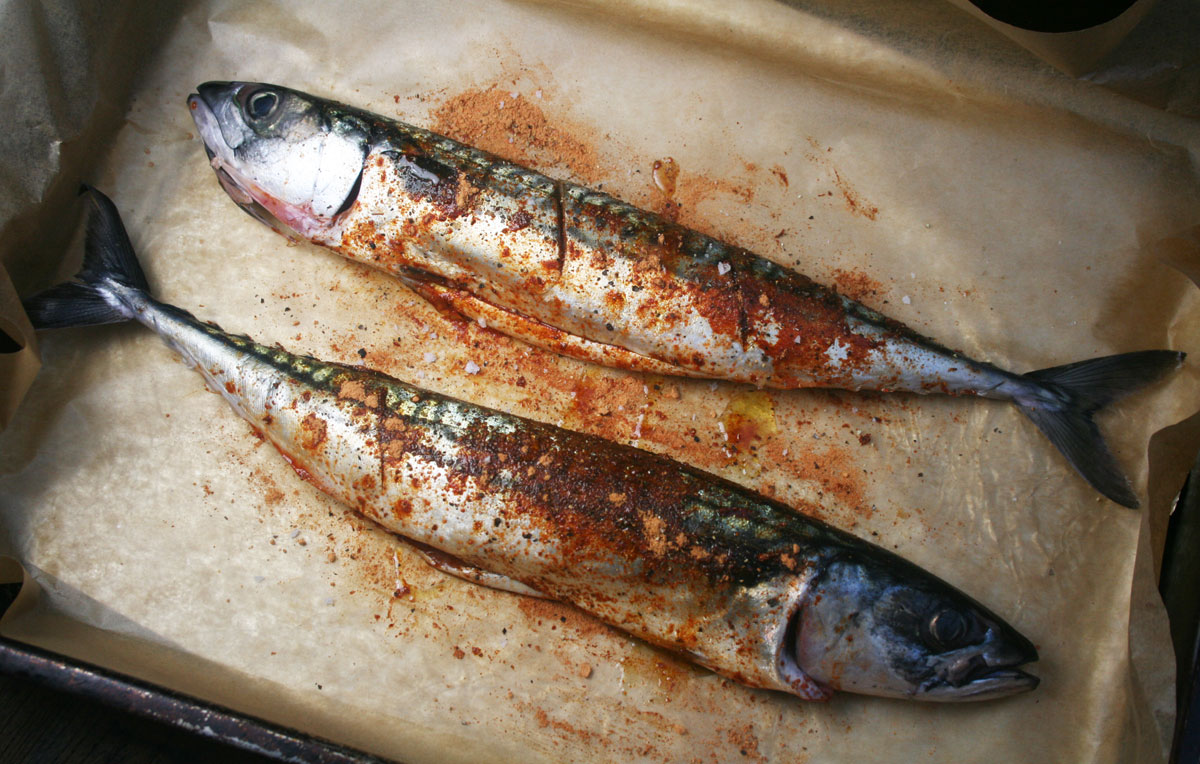 Baked and Roasted Pacific Mackerel Whole Round Horse Mackerel Fish