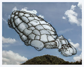 05-Boxing-Turtle-Cloud-Martín-Feijoó-Images-in-the-Sky-Cloud-Drawings-www-designstack-co