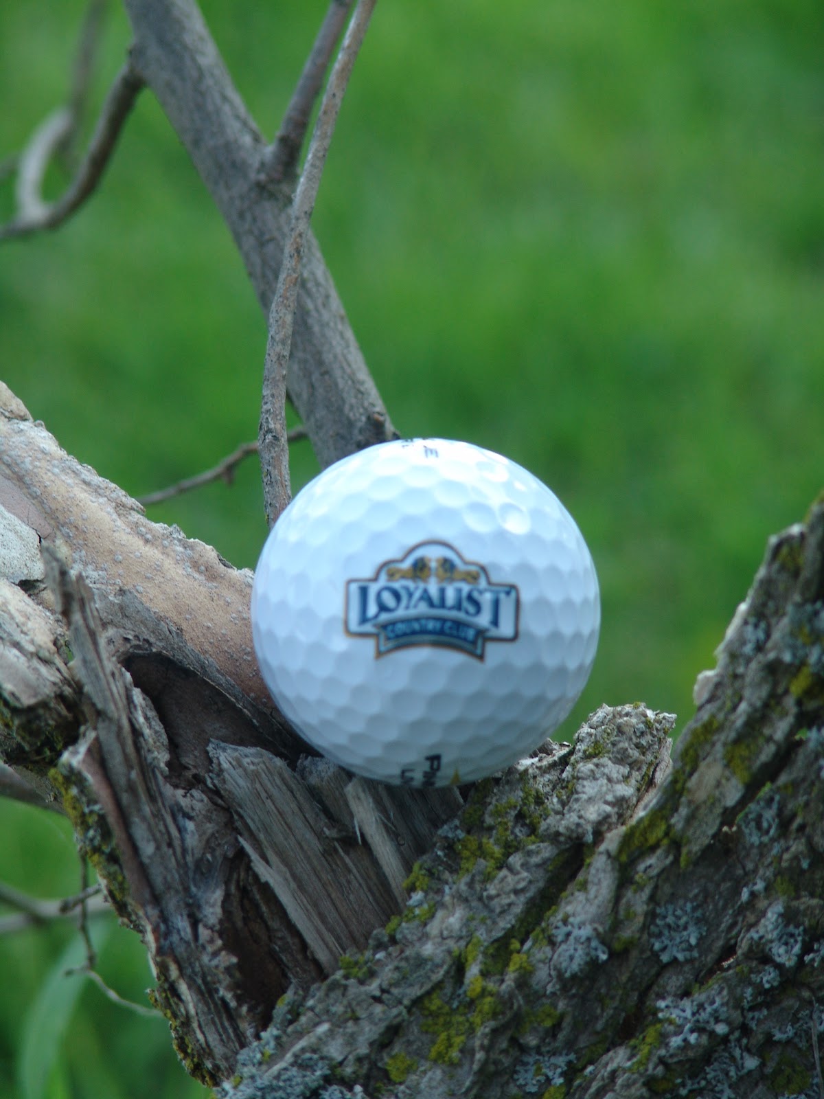Kingston, Ontario Blog Fore! Kingston's Golfing Hot Spots