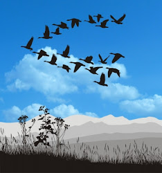 cloud birds data calm moment migrating migration teamwork geese hemisphere cold weather southern know need peace mind email archive prashant