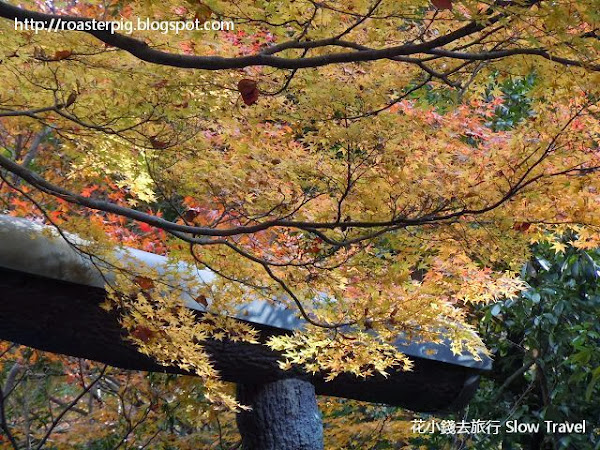 京都免費紅葉景點