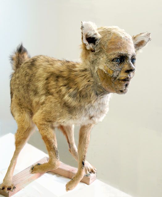 kate clark esculturas animais bizarros com rostos humanos