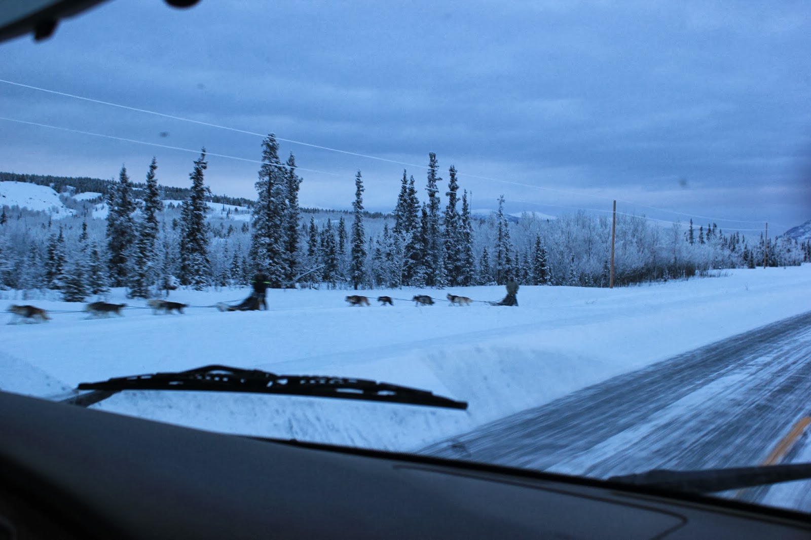 Cross country trip of a lifetime Day 2 Tok, Alaska to Whitehorse