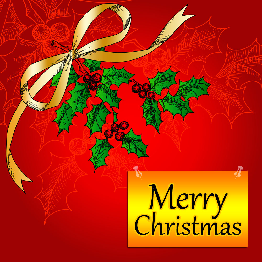 Banco de Imágenes Gratis: 20 imágenes de Nochebuenas, flores de Navidad