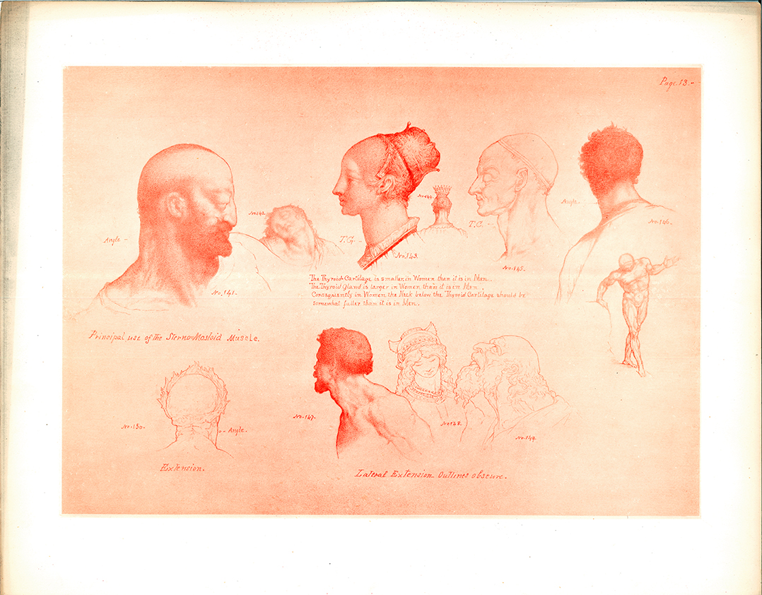 Research of Artistic Anatomy: Update: William Rimmer “ART ANATOMY” (1877)