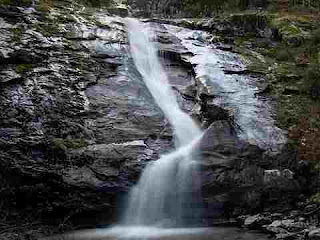 dream meaning of water dream meaning of water