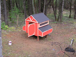 chicken coop rogue going finished almost trim left