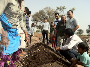 ORGANIC CULTIVATION PRACTISE IN JAIPUR