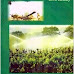 [PDF] Download Irrigation Engineering by R N Reddy