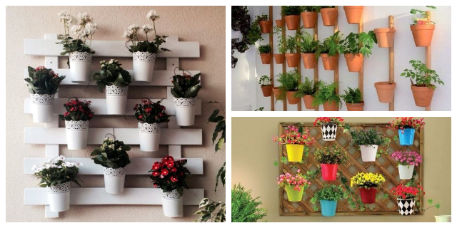HANGING WALL PLANTERS IDEAS