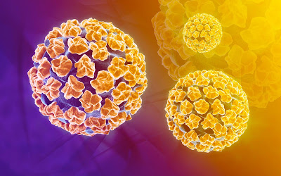Parerea specialistului: infectia cu HPV si Gel Papillor În România de col uterin
