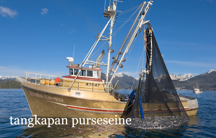 ALAT TANGKAP PURSE SEINE - DUNIA TANI