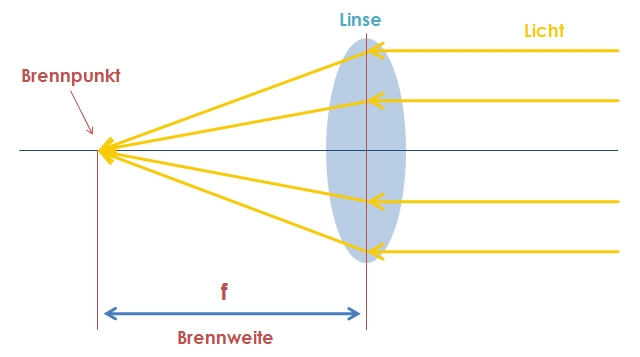 Erkläre Die Begriffe Brennpunkt Und Brennweite Was du über deine Kamera wissen solltest | Jennifer Wettig