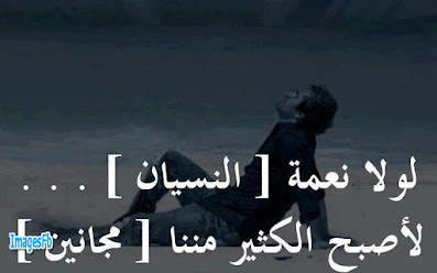 بوستات تويتر بوستات تويترv
