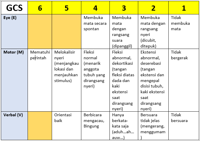 Cara mengukur Glasgow Coma Scale (GCS) dengan tepat - WeCare mag