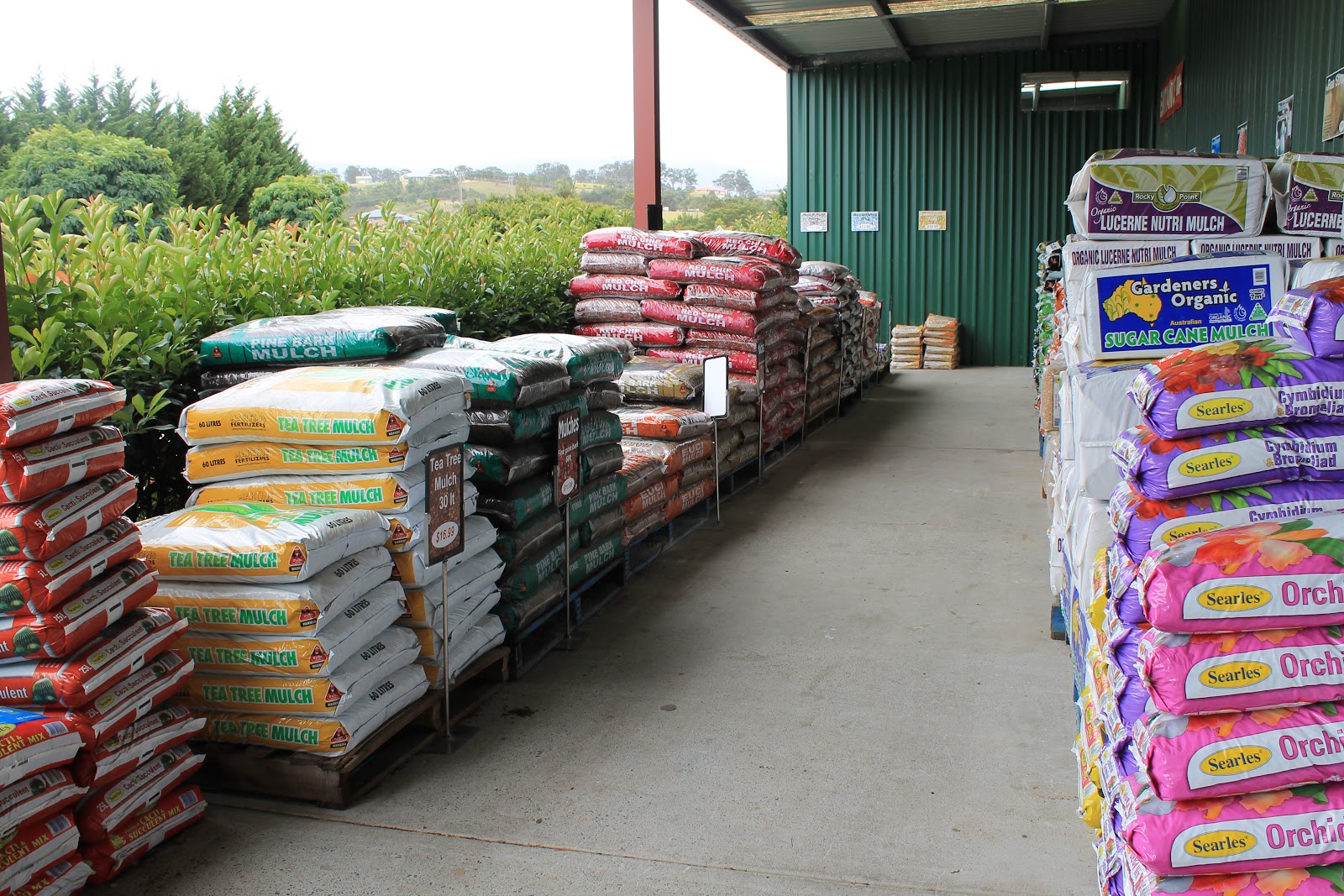 Blooming Gardens Wollongong Wholesale Nursery