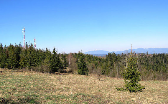 Widok w stronę Babiej Góry. Widok w stronę Babiej Góry.