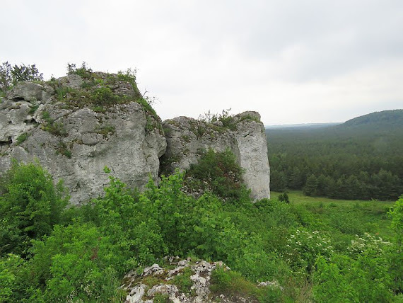 Mirowskie Skały mirowskie