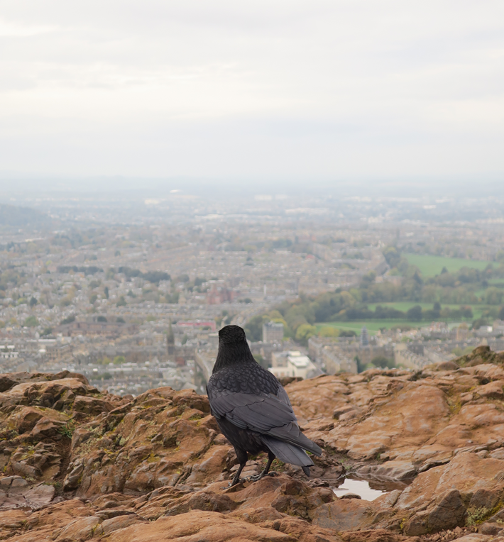 edimbourg arthur's seat