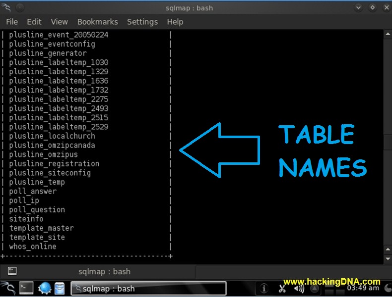 HackingDNA: Hack The Database with Backtrack 5