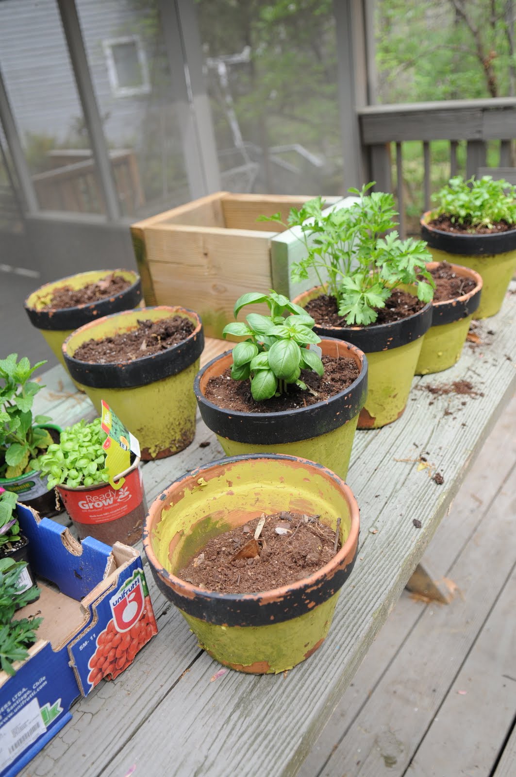 Project Monday: Gardening. | The Colorful Living Project
