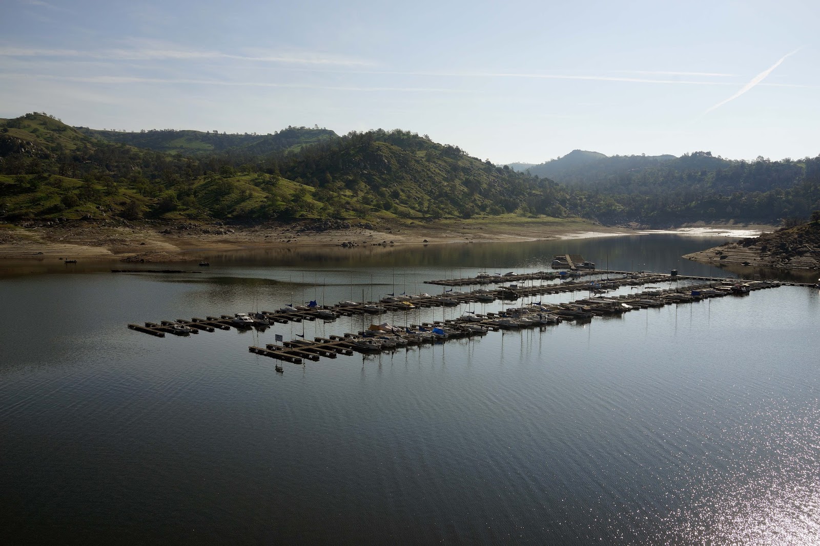 Mid Sierra Musings Millerton Lake The Blue Oak Trail