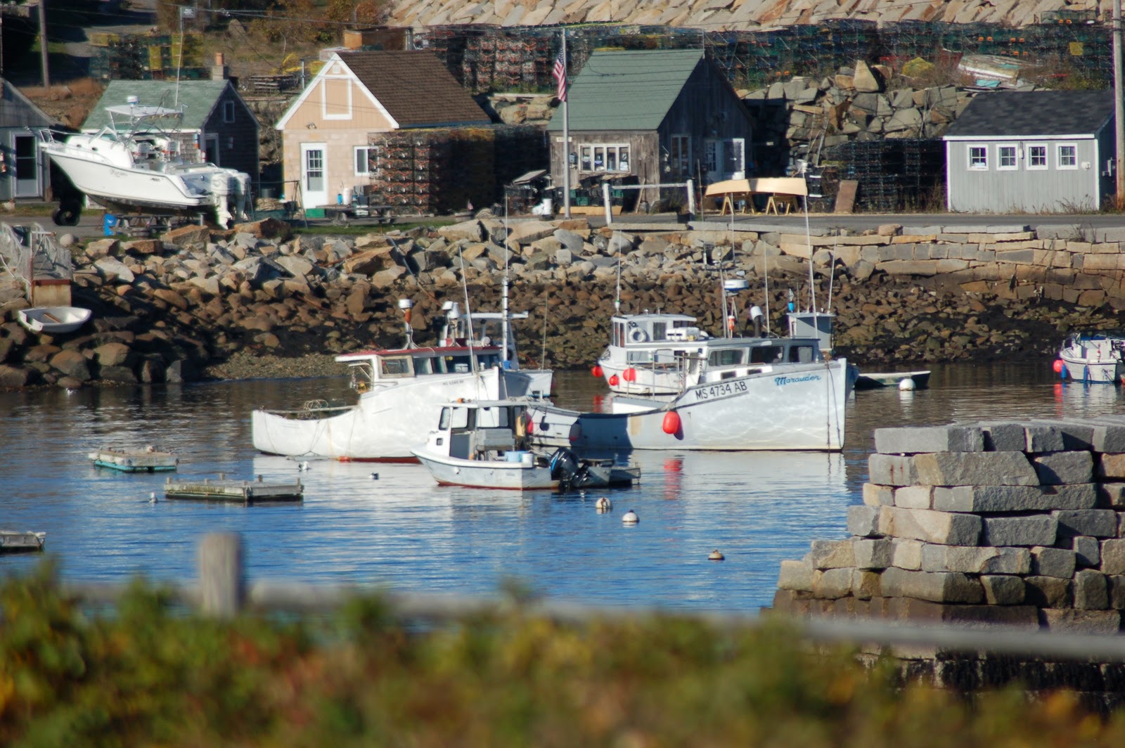 Barbara DuBois Hageman, Artist Pigeon Cove In Rockport, MA
