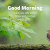 Top 10 Good Morning Quotes Images, Greetings, Pictures for Whatsapp-bestwishespics