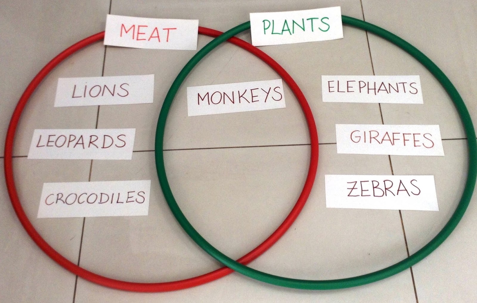 JUNIOR MAGAZINE 1ST 2017 Class J15 What Do Wild Animals Eat?