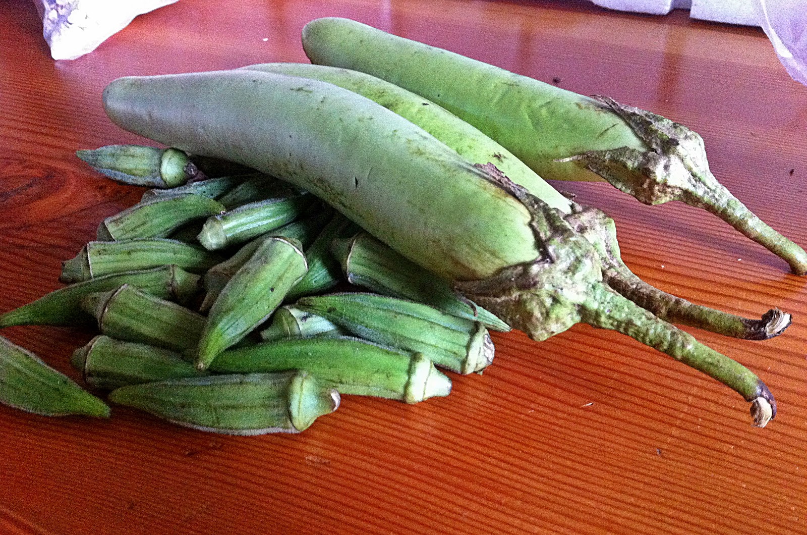 The Bliss Bar Stir Fried Long Green Eggplant with Tofu & Coconut Rice