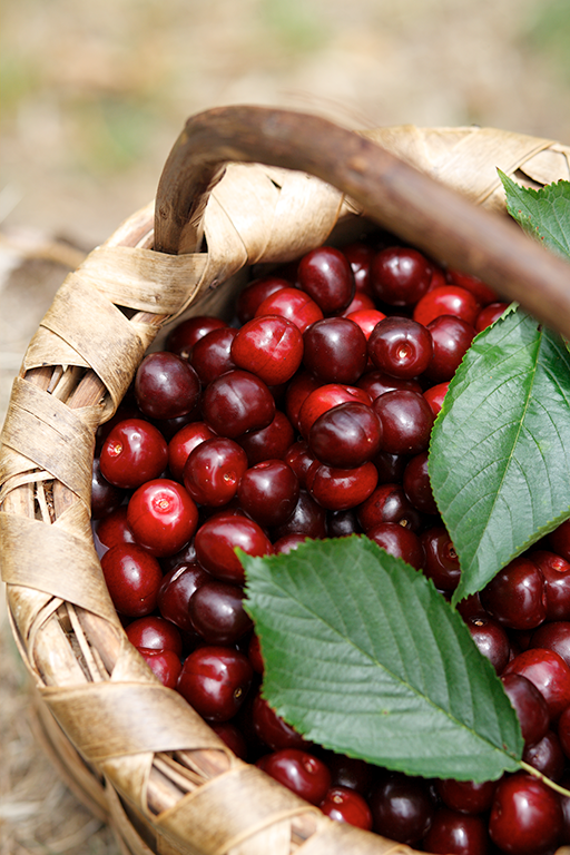 50+ perfect pairings with Jerte Picota Cherries Foodie Quine Edible