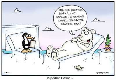 Bi-Polar Bear