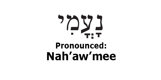 what does the name elimelech mean what does the name elimelech mean