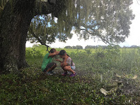 The Florida Project Image 1
