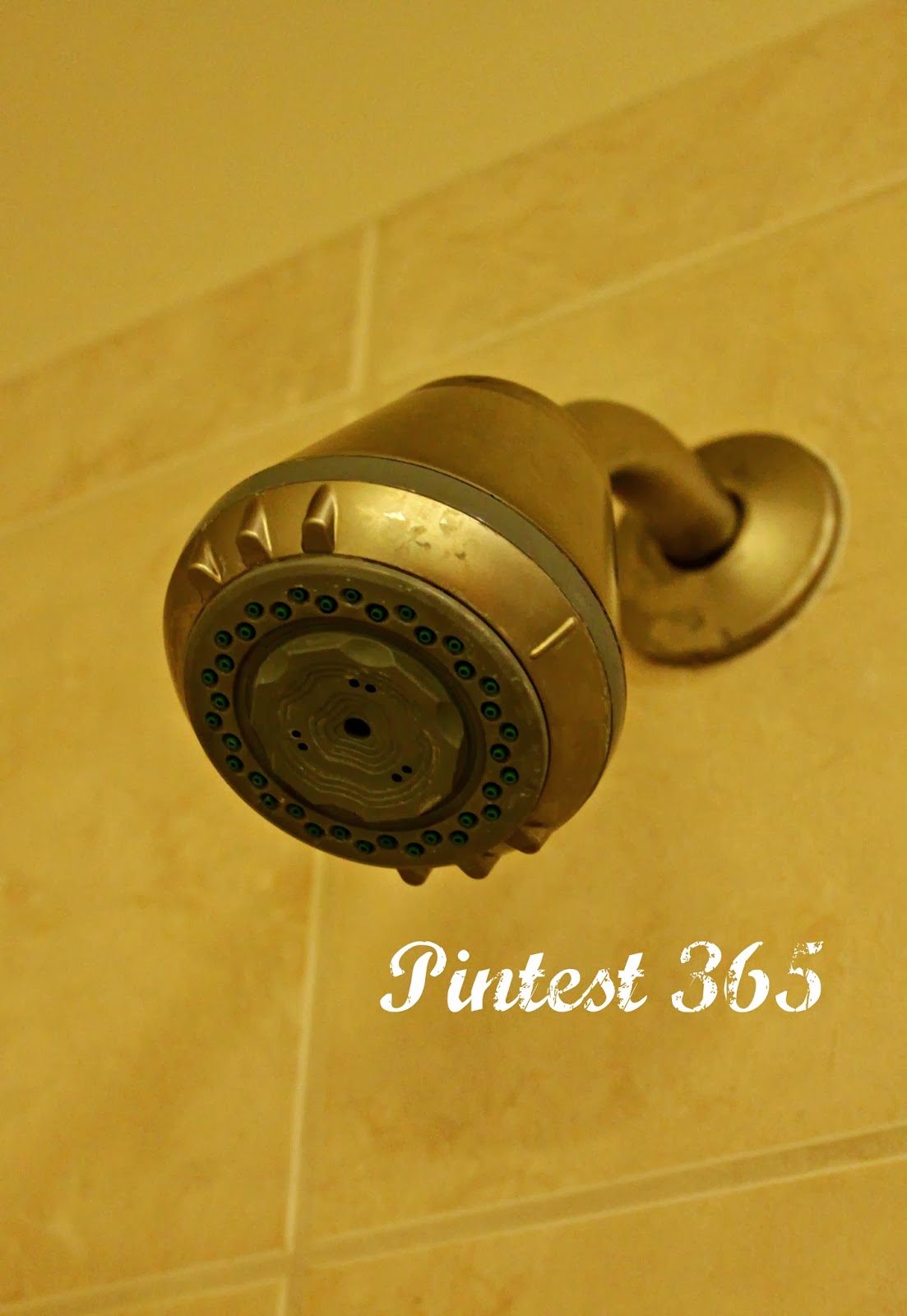 Pintest 365. Day 40 Cleaning Shower Heads with Vinegar (fail).