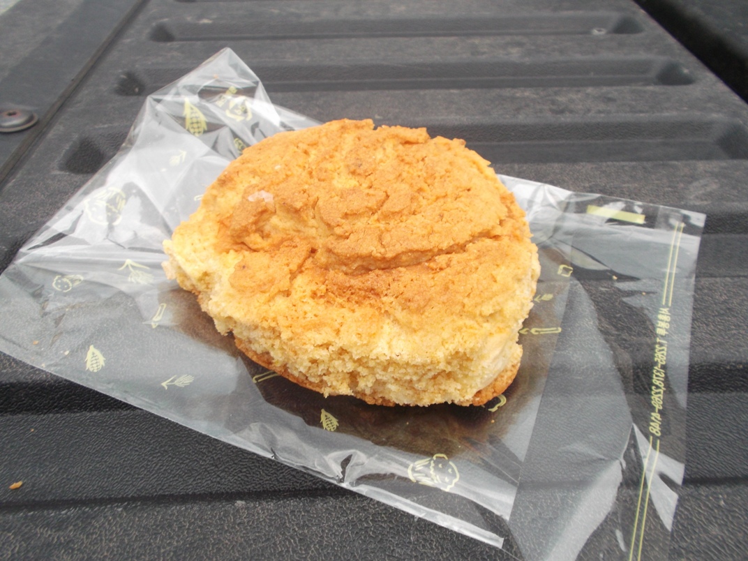 HowChow Trolling Pepperoni Pizza Kolache, Soboru Bread, And Einstein Bagels A Tour Down Rte 40