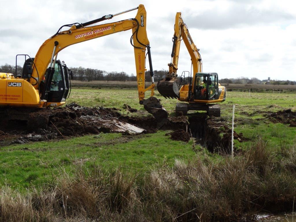 Norfolk Wildlife Trust Progress at Potter reedbed creation site