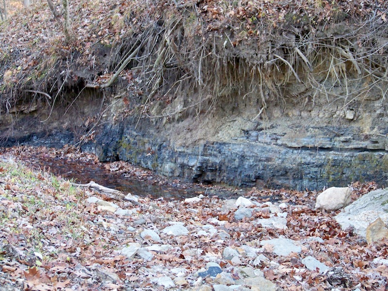 Carvão Mineral & Gás Mineral: Carvão Mineral