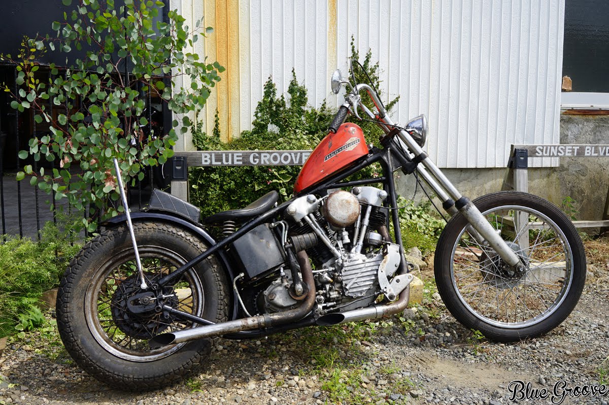 46 knucklehead for sale