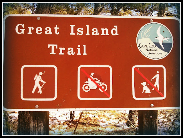 Great Island Trail: Cape Cod